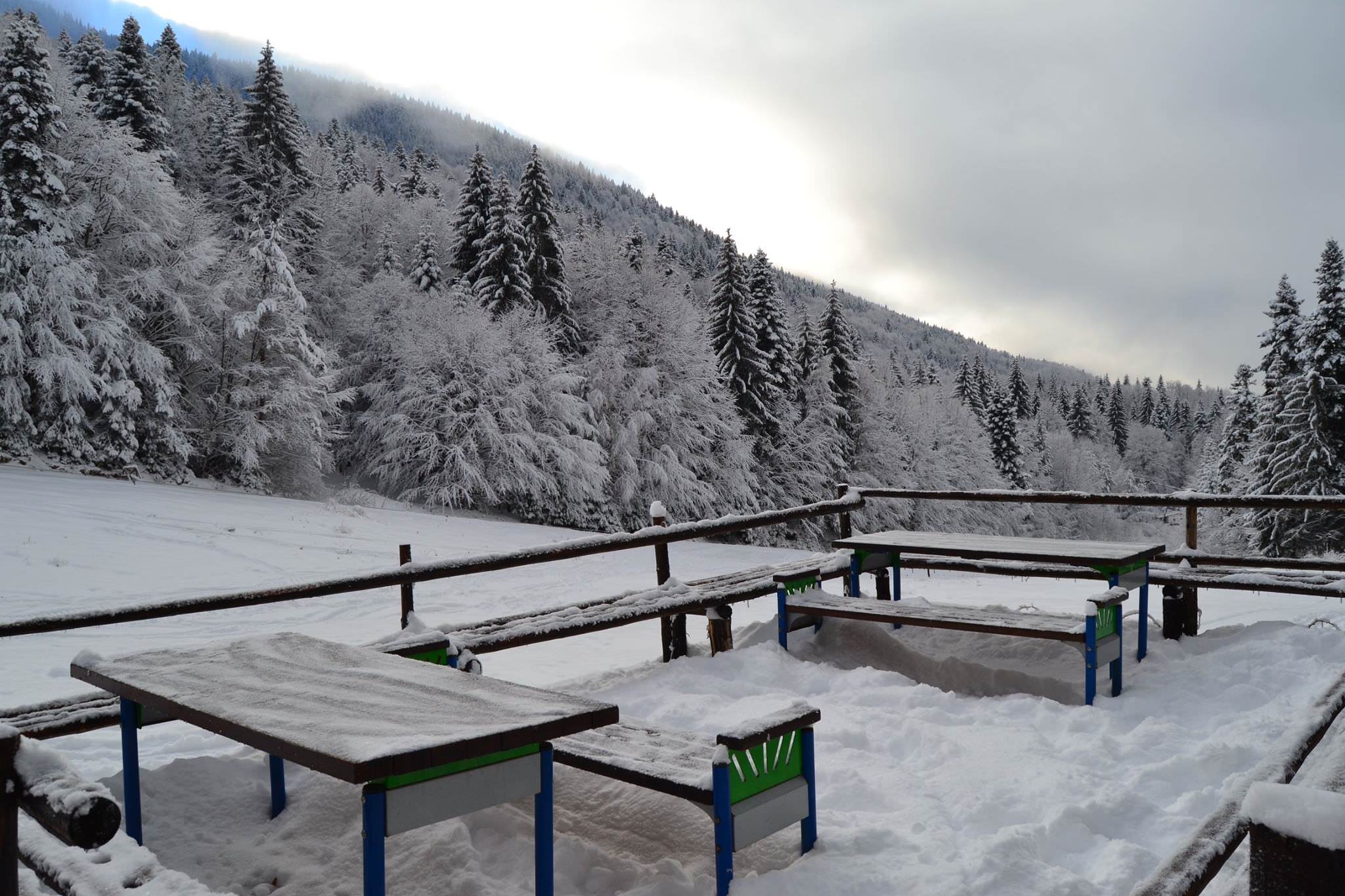 Photo of the terrace of the teahouse. In the foreground are benches with tables, and in the background is the runway and snowy pines.